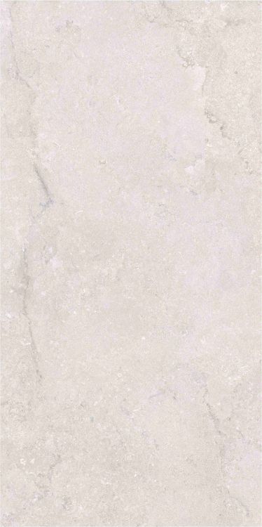OL Port Land Stone Bianco Matte 24 x 48
